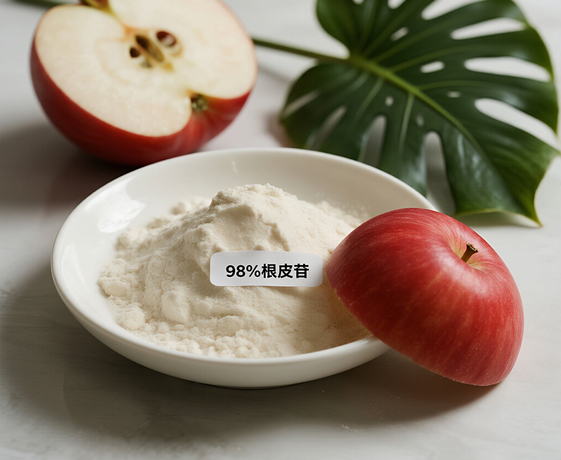 98%根皮苷